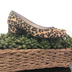 Anthropologie calf hair leopard print pumps sz 7